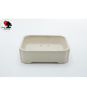 SJ-6 (12,5x10,5x3,5 cm)