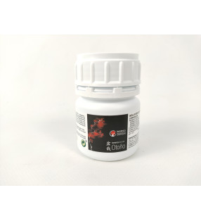 LOMBRICO BONSAI OTOÑO 100ML