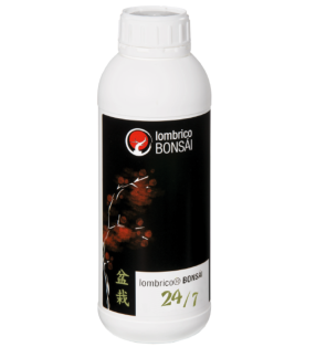 LOMBRICO BONSAI 24/7