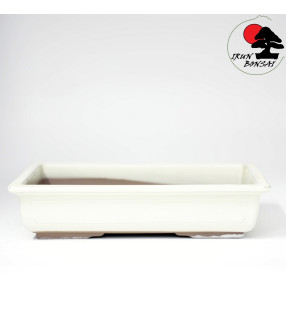 A19-27 (46.5x33.5x6.5 cm)