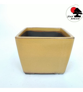 YE1507 (11.5x11.5x8.7 cm)