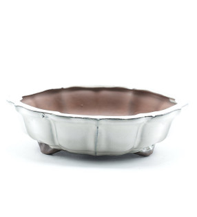 MACETA 139106 (Ø21x6.5 cm)