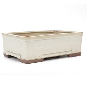 144118 CREMA (18,0x13,5x7,0 cm)