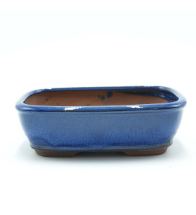 155999 (19x14x6.5 cm) AZUL