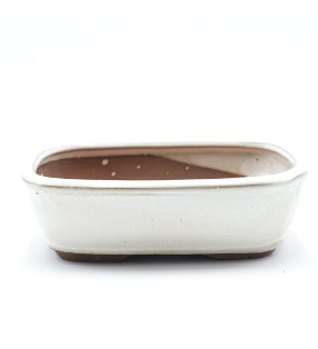 156043 (19x14x6.5 cm) CREMA