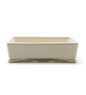 CZM-271 (17*12*4.5 cm)