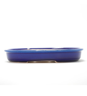 CZM-462 (21.5*15.5*3 cm)