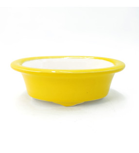 CZM-377 (17.5*13.5*5.5 cm)