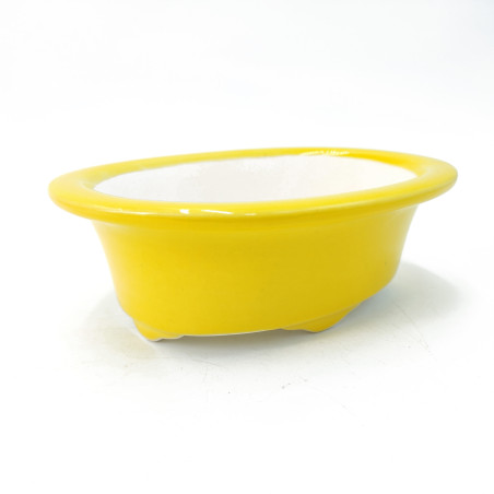 CZM-377 (17.5*13.5*5.5 cm)