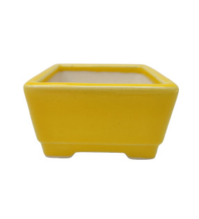 CZM-004 (9.5*5.5 cm)