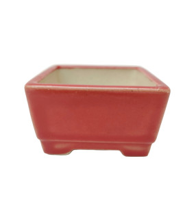 CZM-006 (9.5*5.5 cm)