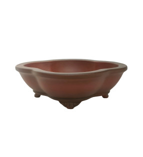 H-222 (20*17*6.5 cm)