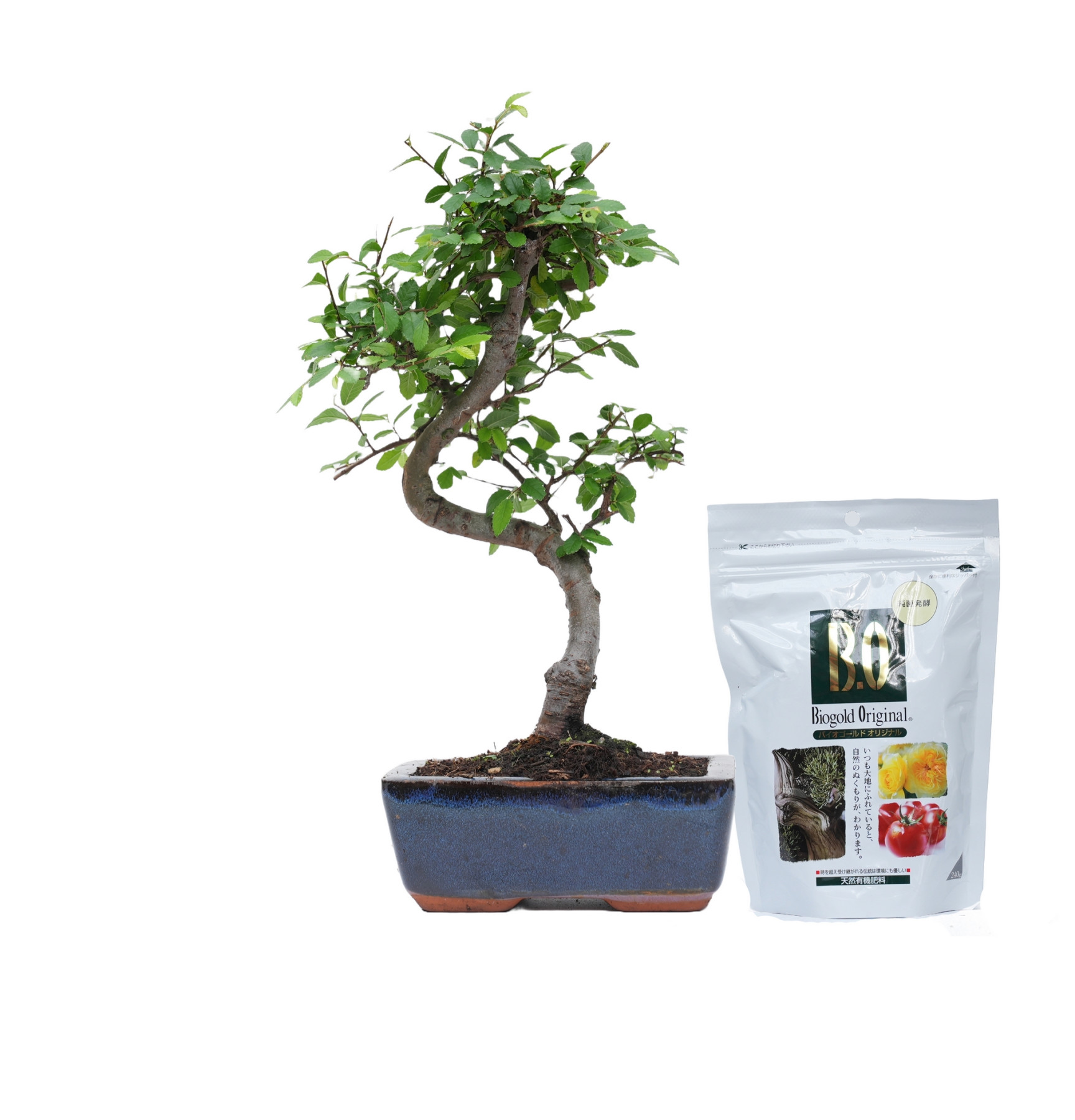 PACK ZELKOVA 6 AÑOS + BIOGOLD 240g