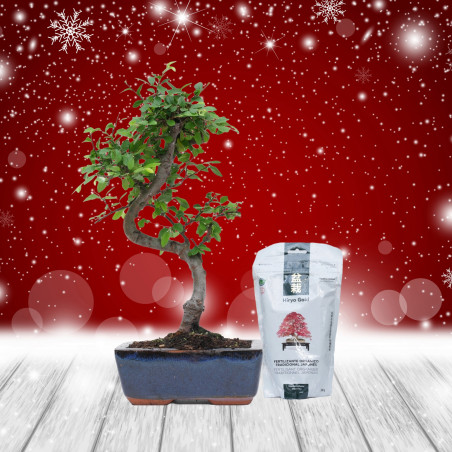 PACK ZELKOVA 6 AÑOS + HIRYOGOLD MANTENIMIENTO 350g