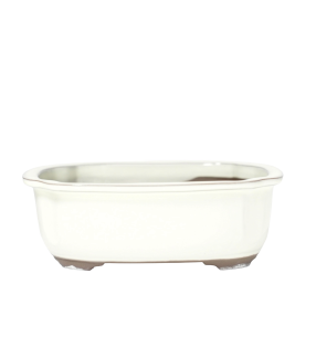 CR1537 (28.5x24x8.5 cm)