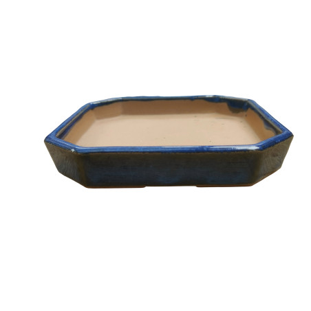 PLATO 3709 (11.2 x 11.2 x 1.5 cm)
