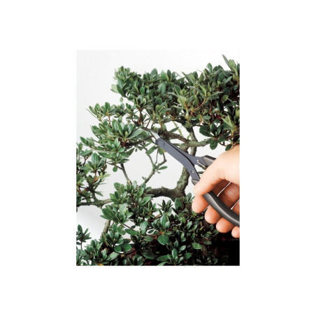 KEIBA PODADORA LS-007 165MM