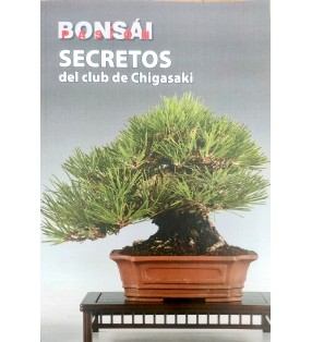 BONSAI PASION Nº147