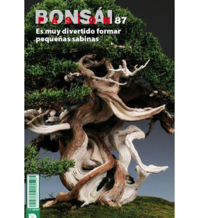 BONSAI PASIÓN N°87